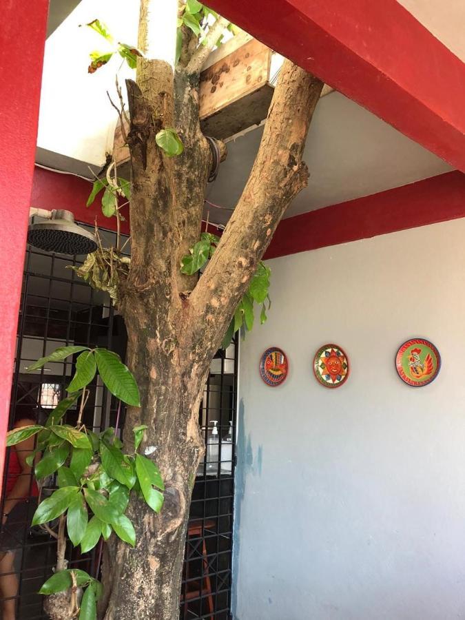 Pousada Porto Jambo Pôrto das Galinhas Esterno foto