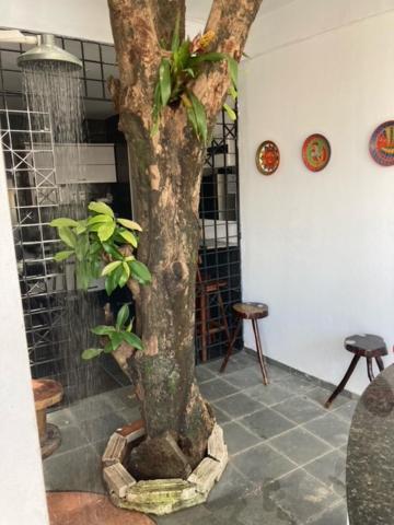 Pousada Porto Jambo Pôrto das Galinhas Esterno foto